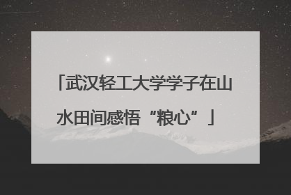 武汉轻工大学学子在山水田间感悟“粮心”